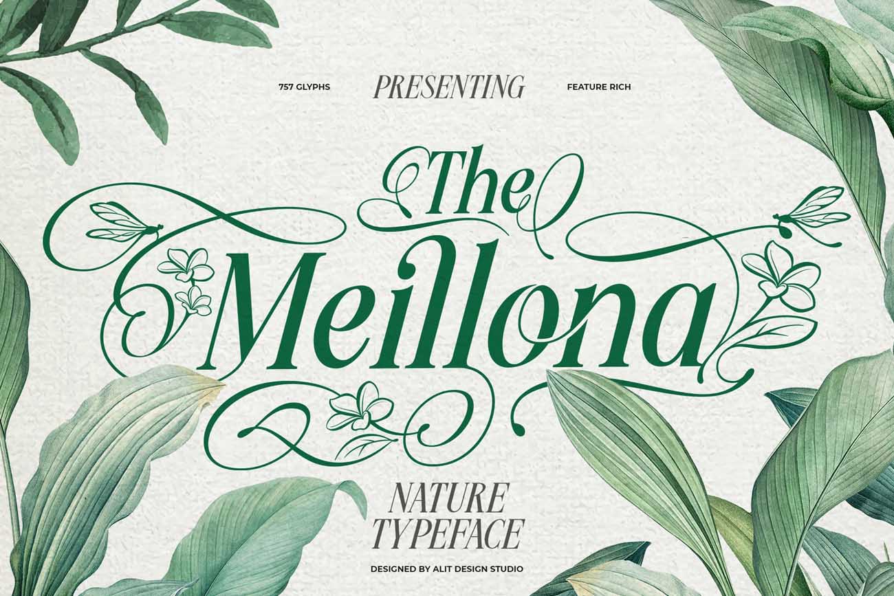 Font chữ trang trí uốn lượn TH Meillona Việt hóa