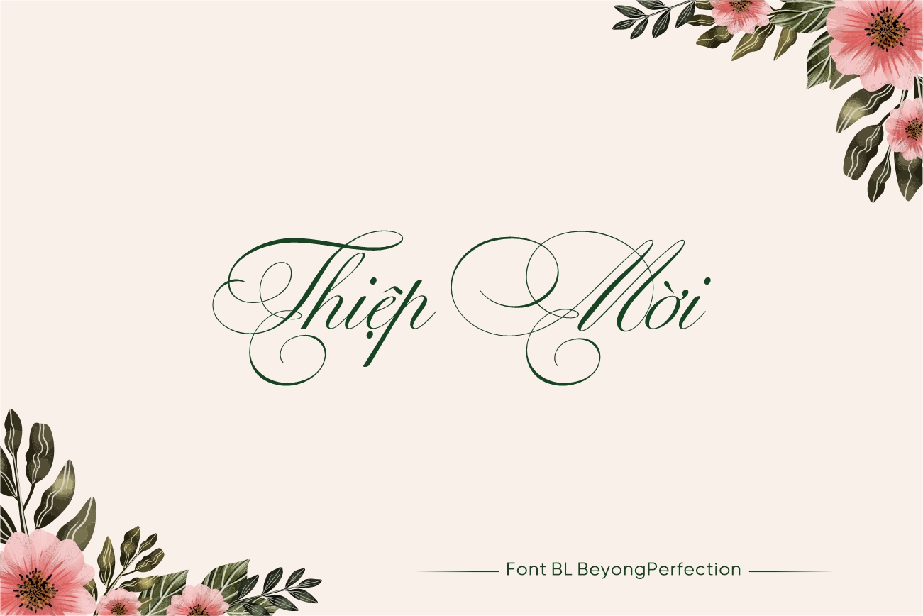 Phông chữ nét mảnh cho đám cưới BL BeyongPerfection Việt Hóa