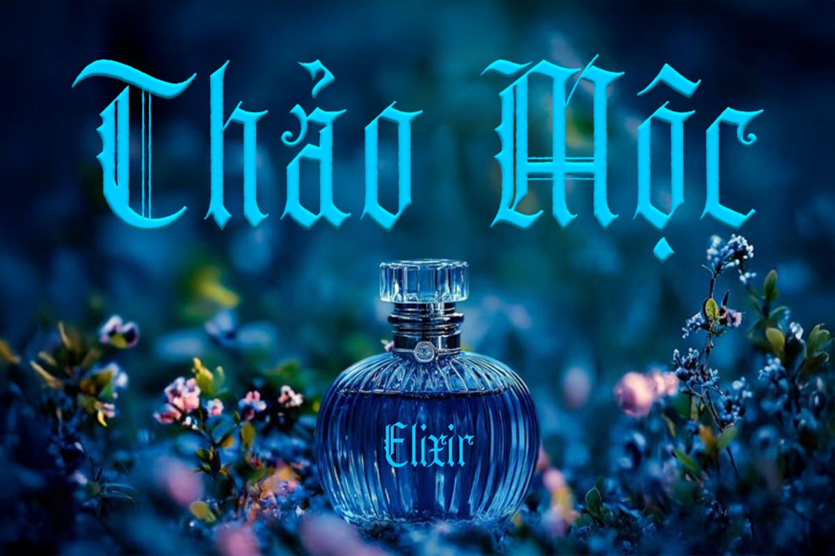 Font Chữ Gothic Huyền B&iacute; v&agrave; Thanh Lịch TH Midnight Romance Việt H&oacute;a