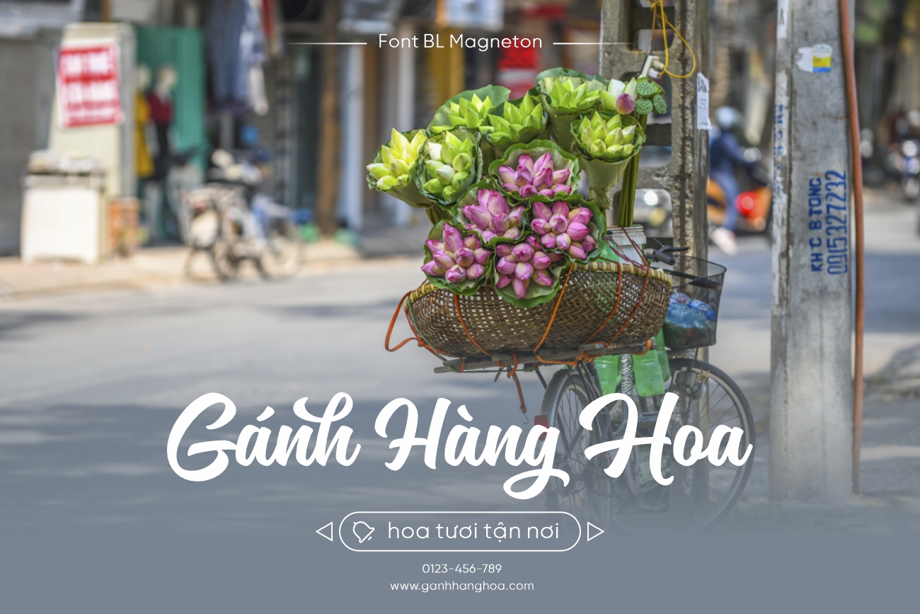 Font Viết Tay BL Magneton – Font Brush Việt Hóa Thanh Lịch