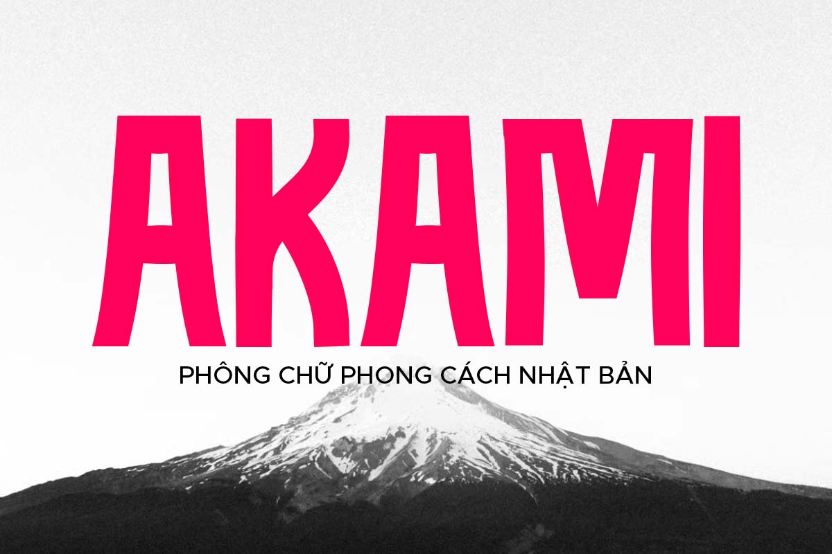 Ph&ocirc;ng chữ nhật bản Việt h&oacute;a TH AKAMI