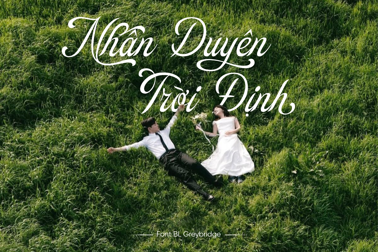 BL Greybridge - Phông chữ Calligraphy cổ điển