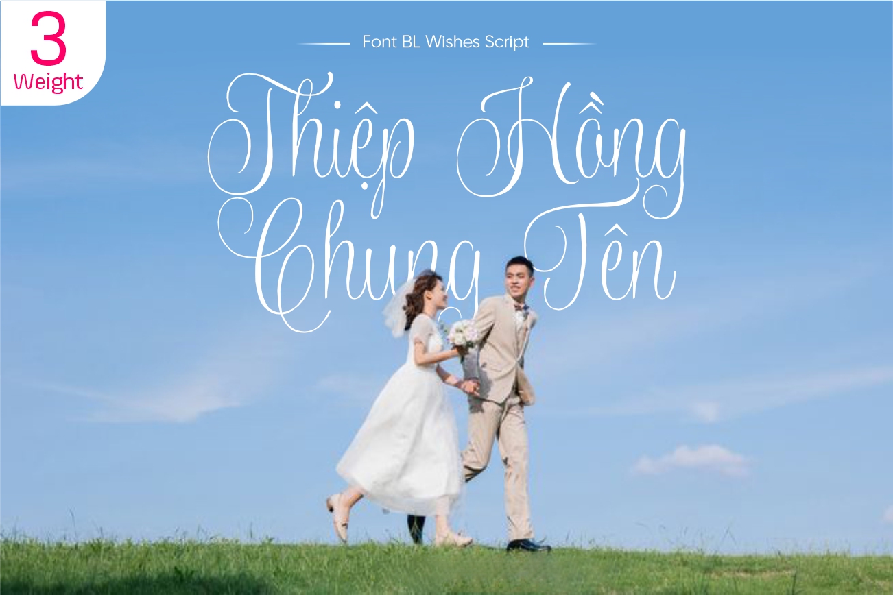 Bộ 3 font BL Wishes Script - Font thiệp cưới uyển chuyển